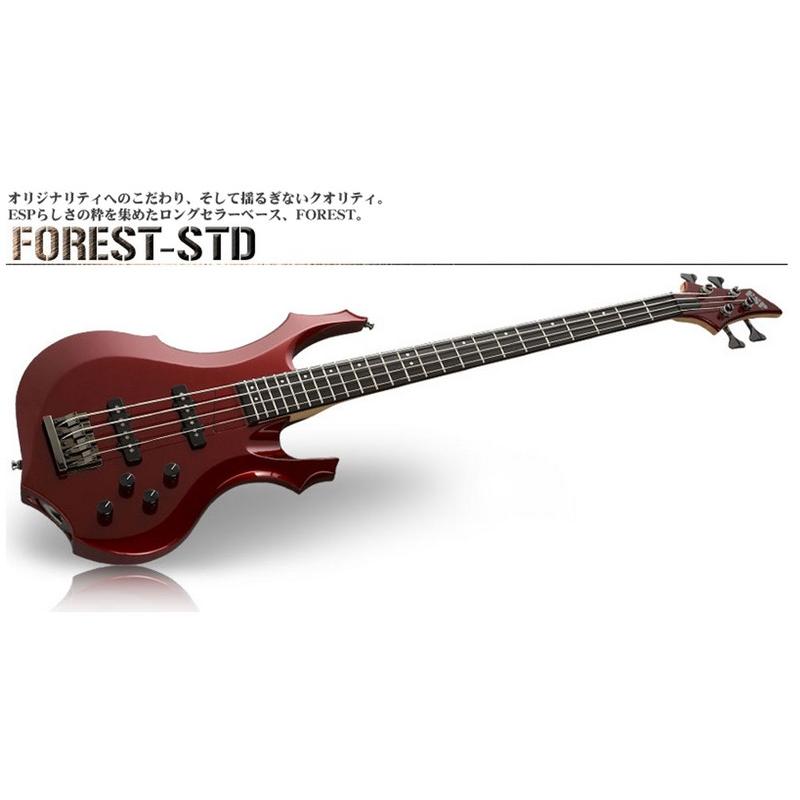 Esp Original Series Forest Std イーエスピー フォレストベース スタンダード 304 Esp Forest Std あぽろんyahoo 店 通販 Yahoo ショッピング