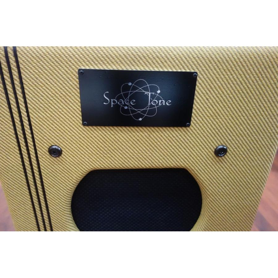 数量限定激安 Swart Amplifier Space Tone ST-6V6se (スワートアンプ)