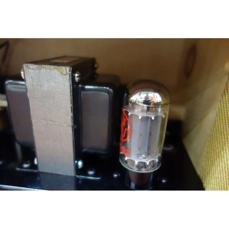 Swart Amplifier Space Tone ST-6V6se (スワートアンプ) : 401