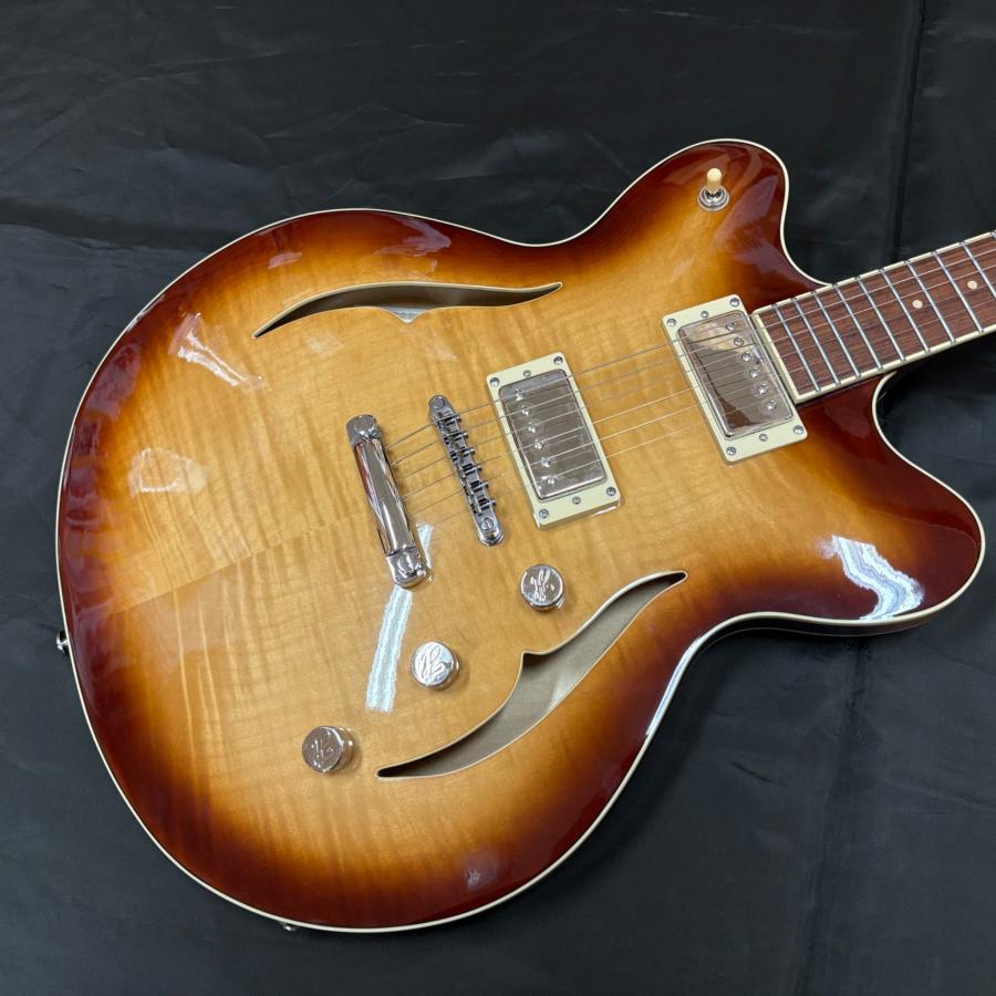 Hofner VERYTHIN CT SPECIAL SB（ヘフナー ベリーシン サンバースト
