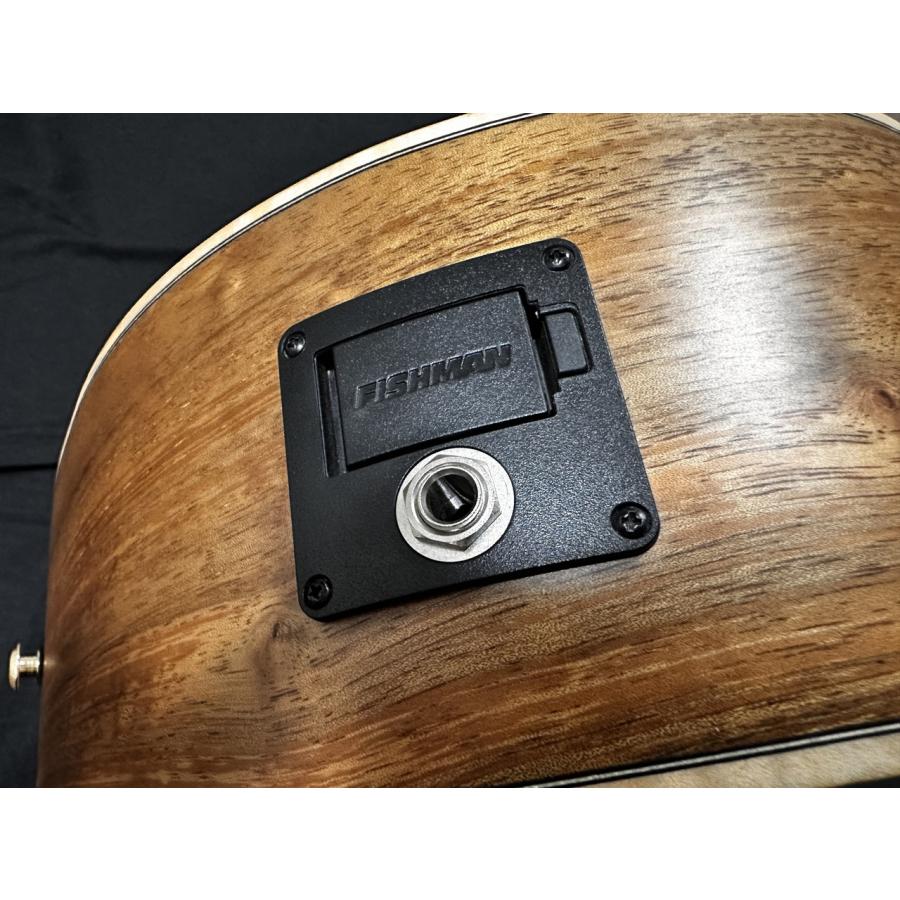 Bromo Guitars BAR4GCE(ブロモギターズ エレクトリック