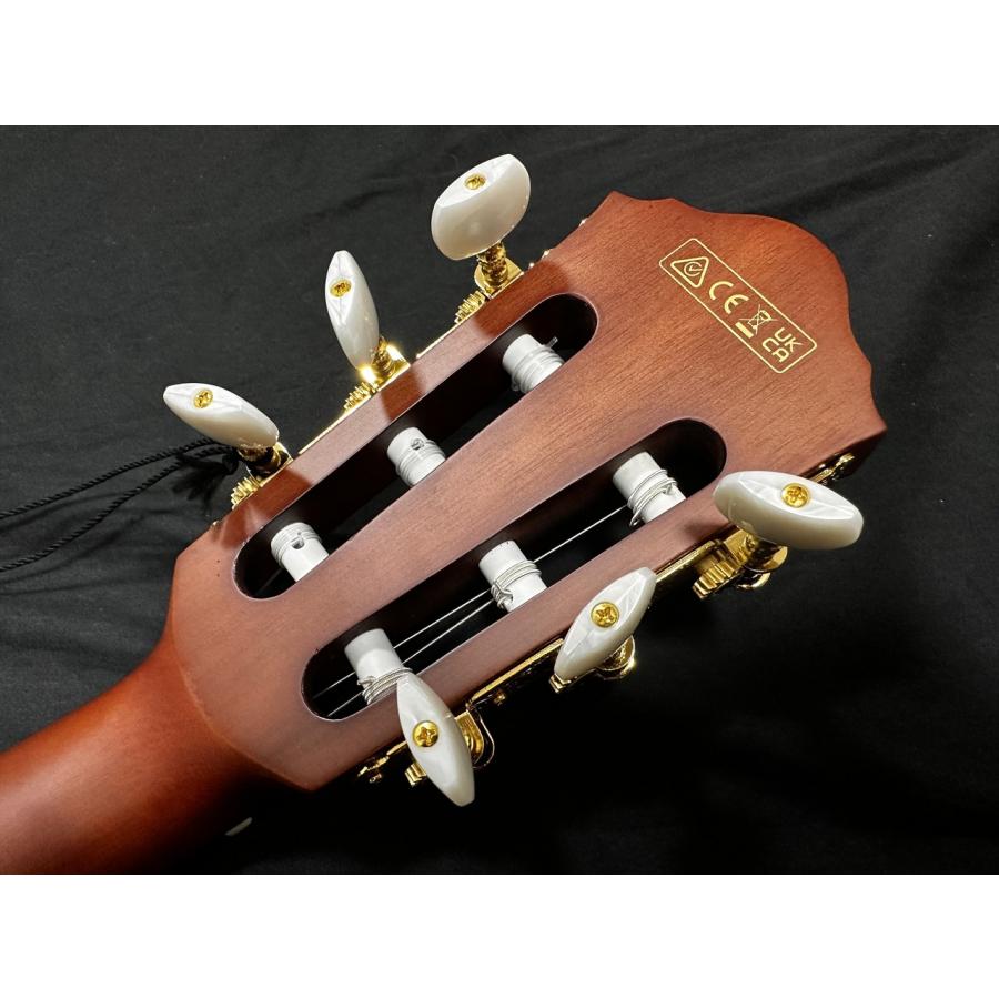 Ibanez FRH10N/NTF(アイバニーズ エレガットギター)【新発田店