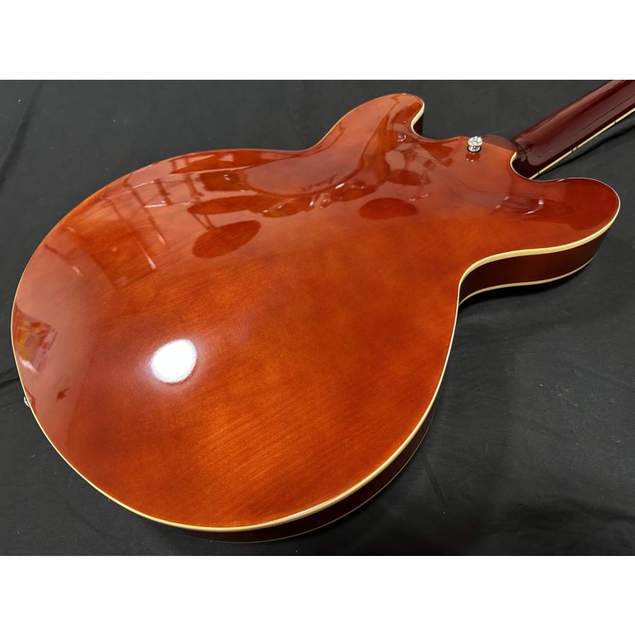 Vintage VSA500W(ヴィンテージ セミアコ)【新発田店】 : あぽろんYahoo