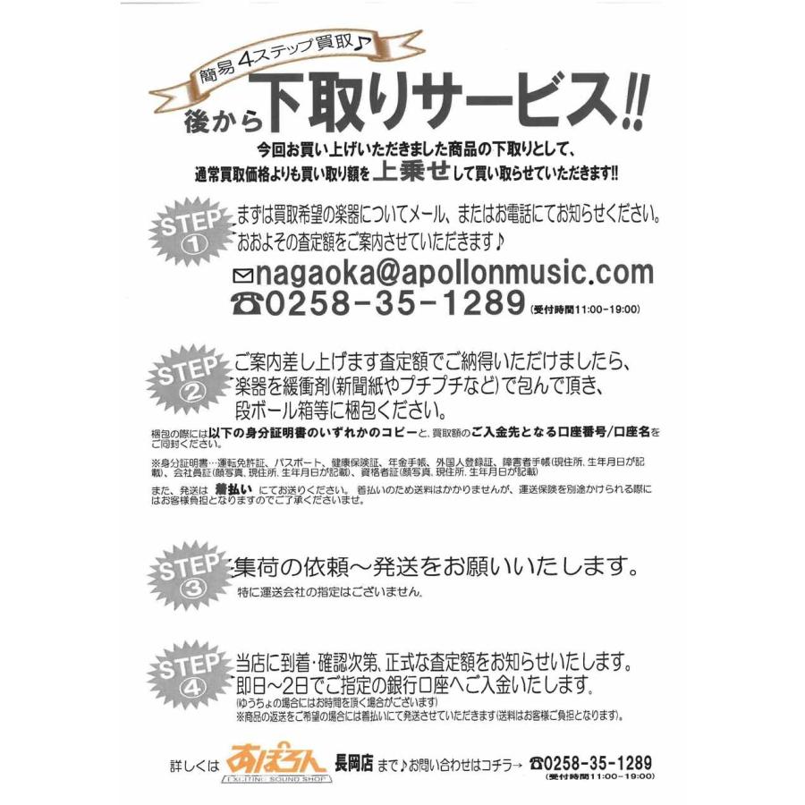 AMT ELECTRONICS LLM-2 (光学ボリュームペダル ブースト 音量調整