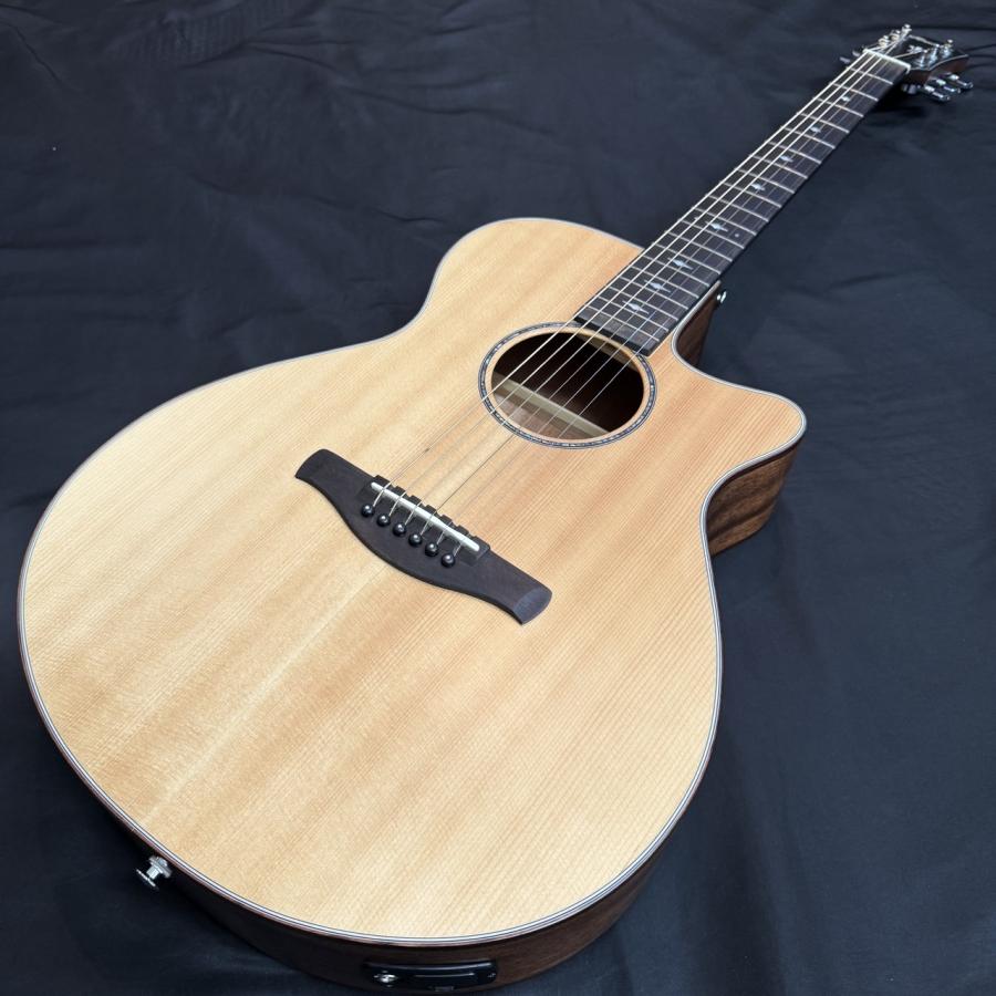 Ibanez AEG200(アイバニーズ アコースティックギター エレアコ)【新潟
