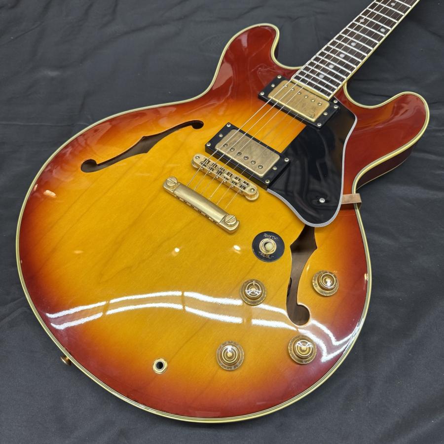 F&G Daniels SA (セミアコ)【新潟店】 : あぽろんYahoo!店 - 通販