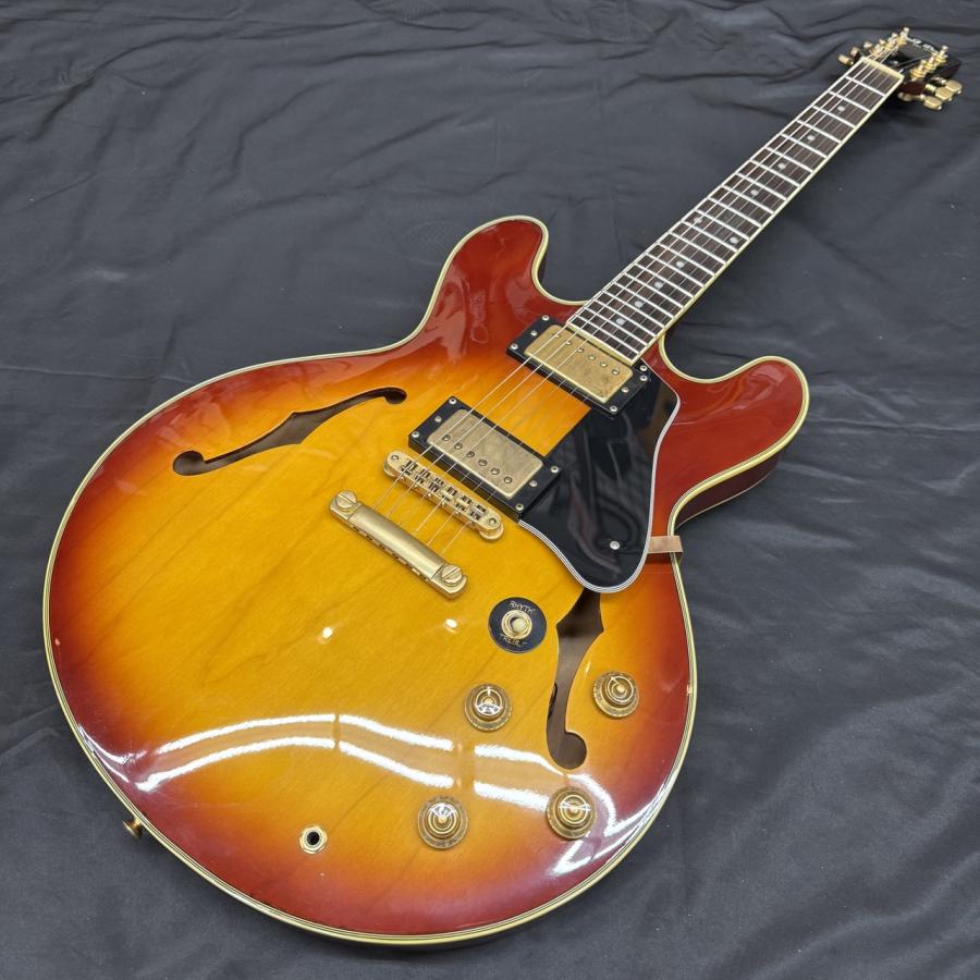F&G Daniels SA (セミアコ)【新潟店】 : あぽろんYahoo!店 - 通販