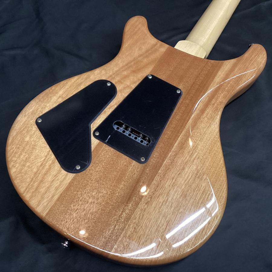 Paul Reed Smith(PRS) SE-Custom 24/Faded Blue Burst (ピーアールエス