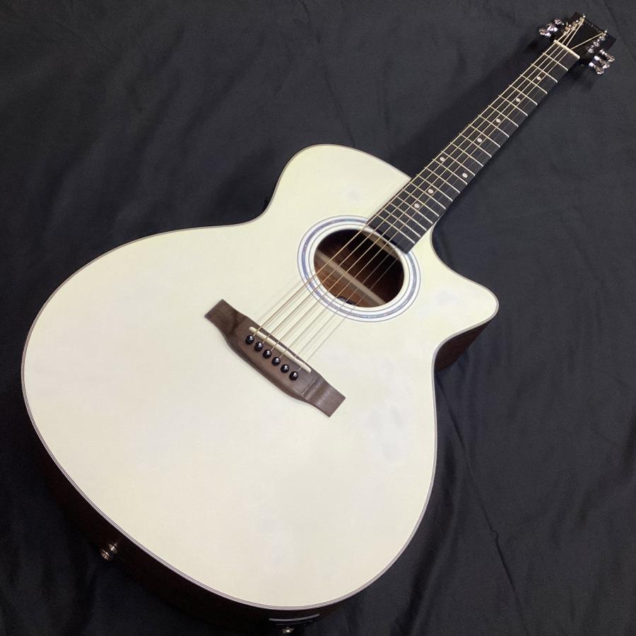 Vintage VEC1900/WHS(ヴィンテージ アコースティックギター エレアコ