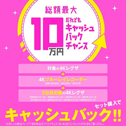 レグザ 43インチ 4K液晶テレビ 43M550L 4Kチューナー内蔵 外付けHDD 裏番組録画 スマートテレビ 2022年モデル テレビ
