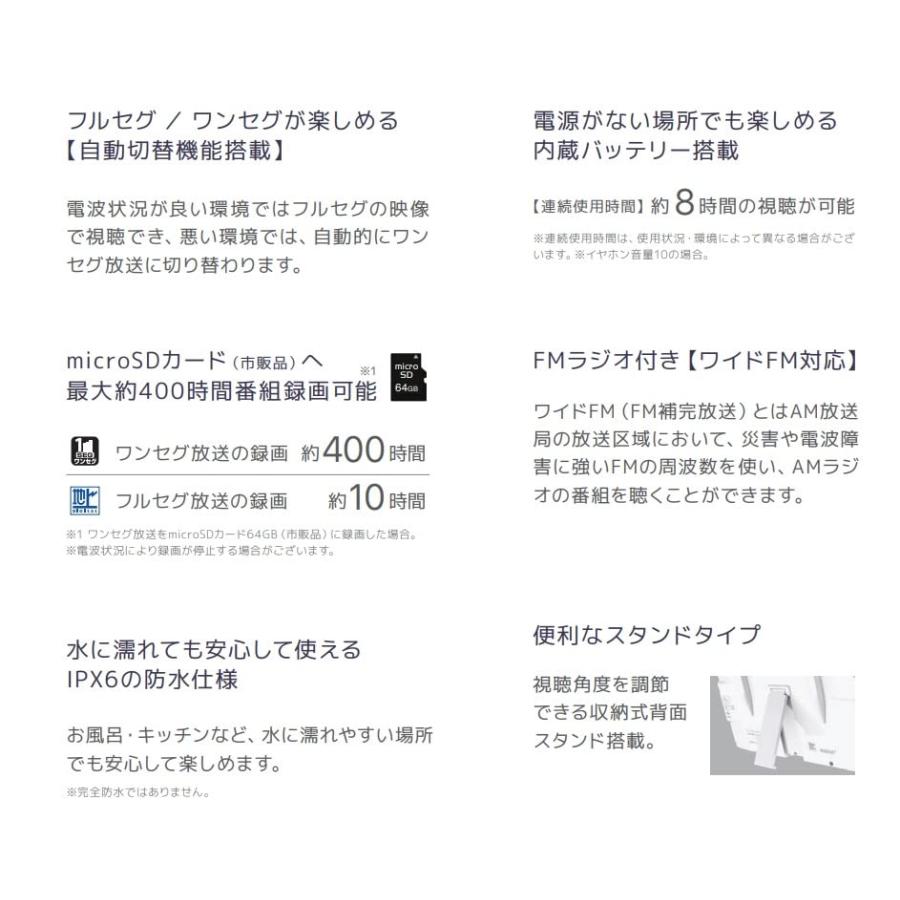 STAYER5インチ 防水フルセグワンセグ ポータブルテレビ 録画機能付き 