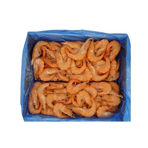 人気の贈り物が 活バナメイ有頭ボイルえびｍ 2k Quran Unv Edu Sd