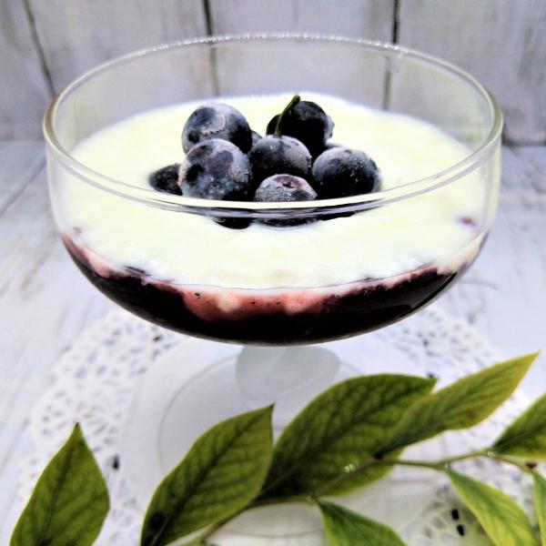 雪印メグミルク デザートソース ブルーベリー 500g [ 474003 ] : A