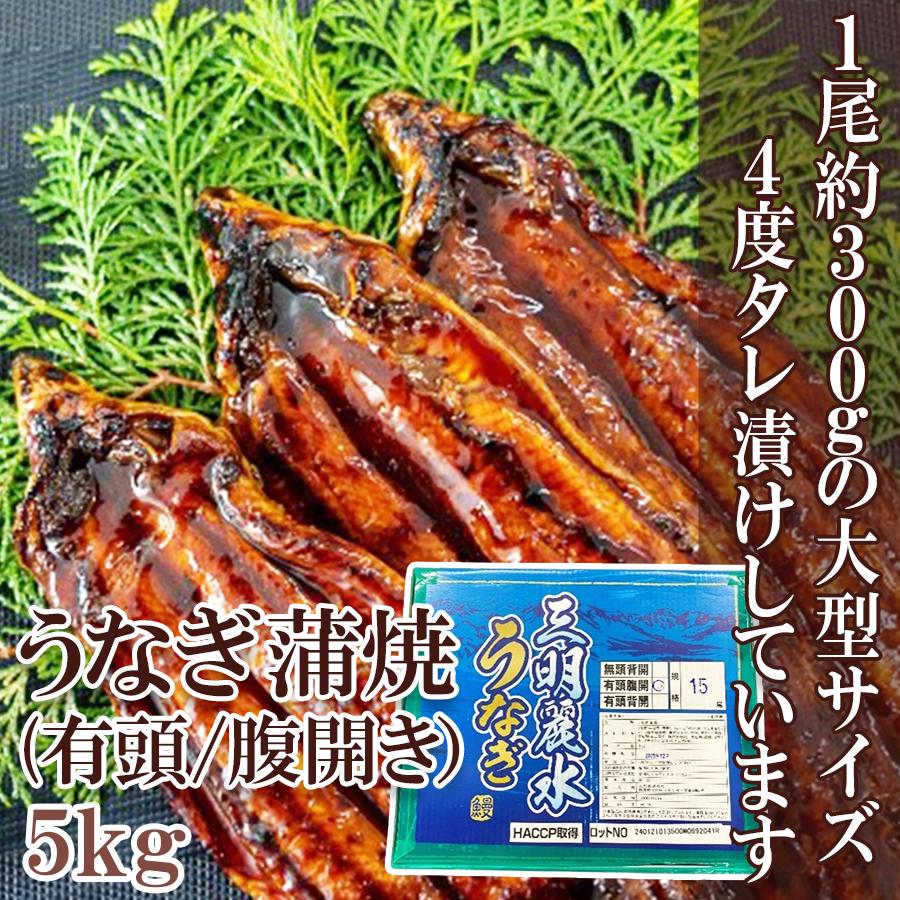 うなぎ蒲焼 5kg ( 30尾サイズ / 1尾 約330g 有頭腹開 /中国産 化粧