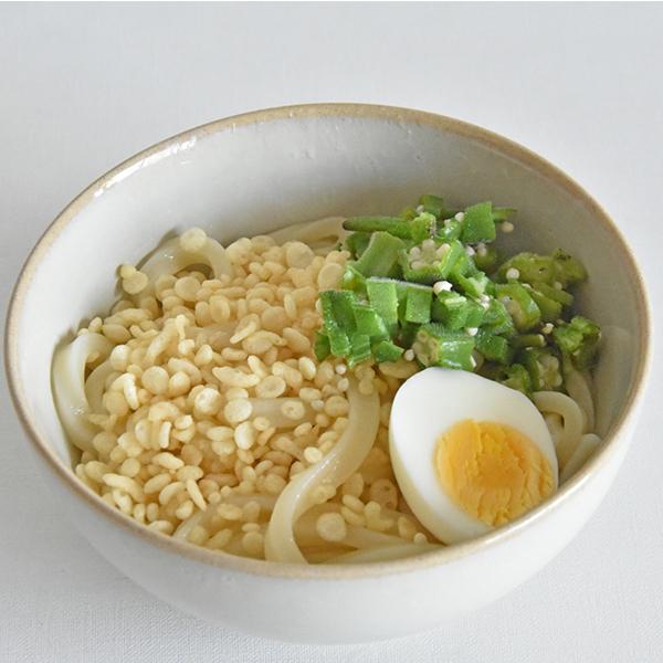 EASTBEE 包丁切り冷凍うどん(ハーフ)250g×5玉(冷凍強いコシ太めつゆがからむ) [1103814]｜apos｜05