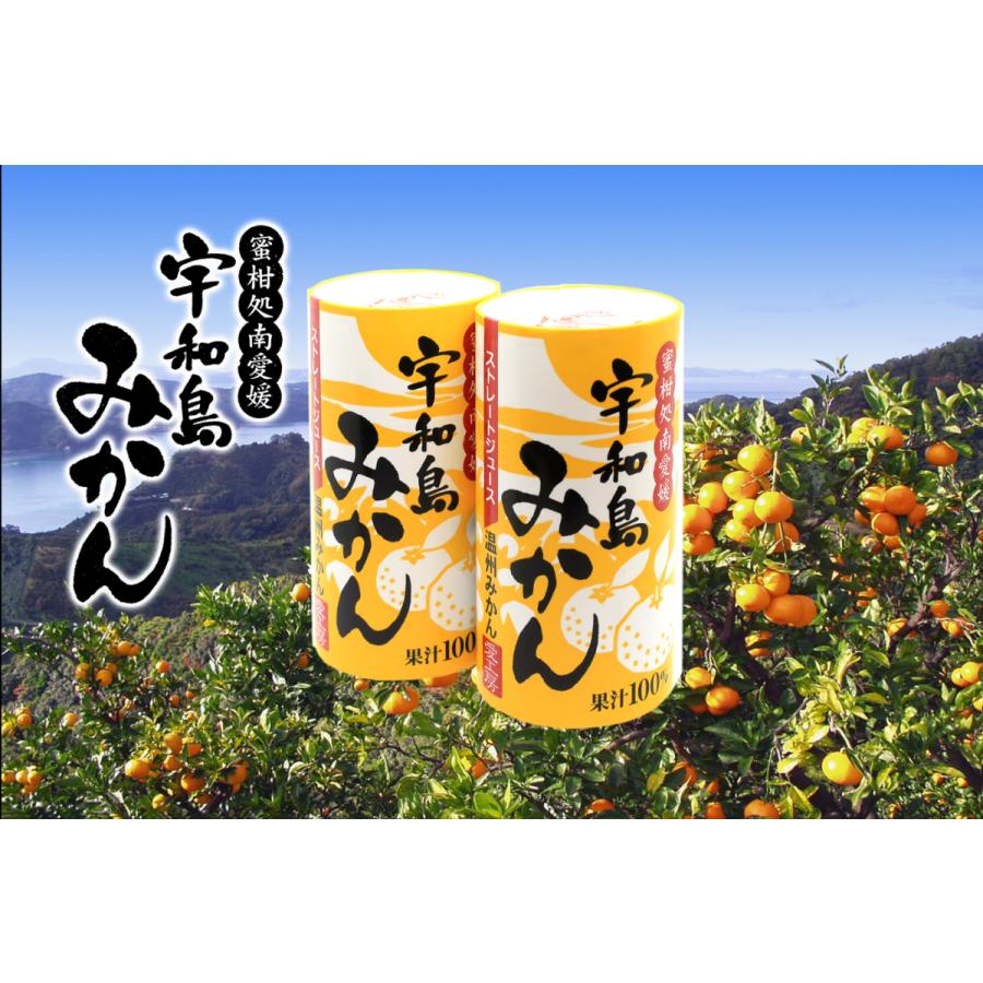 愛工房 宇和島温州みかんストレートジュース 果汁100% 125ml×30 愛工房 宇和島温州みかんストレートジュース 果汁100% 125ml×30