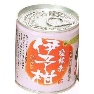 愛媛産柑橘缶詰 伊予柑シラップづけ 5号缶 295g 12個セット 愛媛 宇和島 みかん フルーツ 缶詰 果物 国産 フルーツ缶詰 愛工房 ギフト いよかん 12 くすりのみかん 通販 Yahoo ショッピング