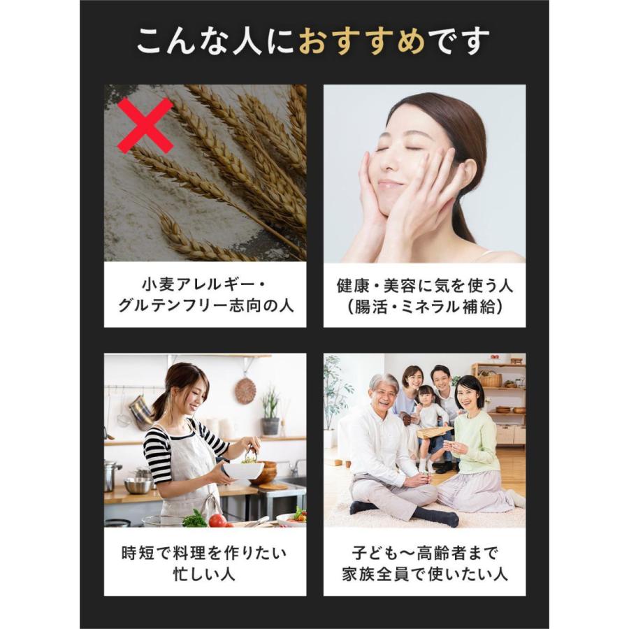 グルテンフリー 麺 米粉麺 【 無添加 アカモク × 国産米100% 】 パスタ グルテンフリーパスタ 米粉パスタ ラーメン あっぱれ麺 [ あっぱれめん ] 100g×30食