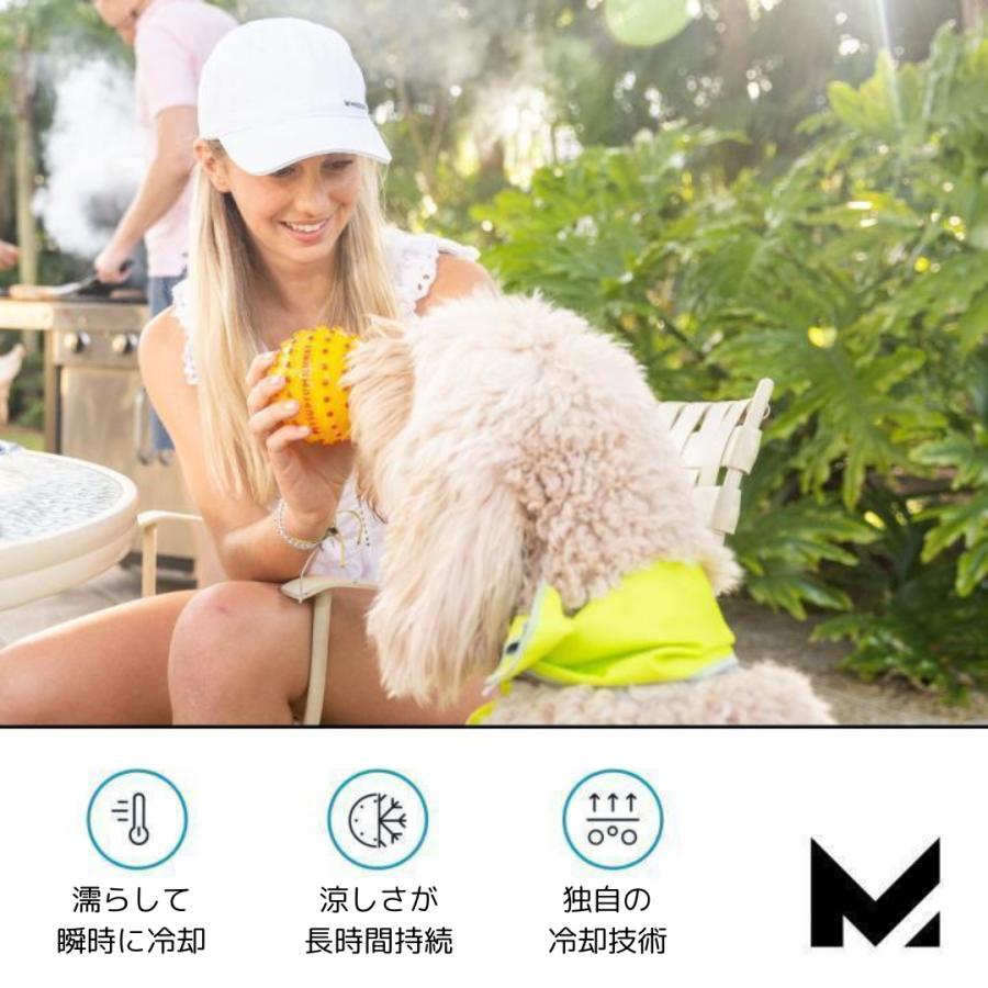 阪神タイガース キャップ3個セットとハンカチ、マラカス 阪神タイガース 2021年度 4キャップセット - メルカリ