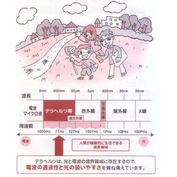 激安☆超遠赤外線テラヘルツ健康アクセサリー☆テラ玉シルバーペンダント【オリジナルテラネックレス No.5】_3