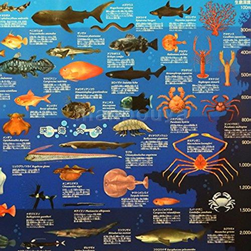 深海魚 図鑑 こども ポスター ザ アクセス 深海大全 A1サイズ Dea35itjo5 ゲーム おもちゃ Www Lecascate It