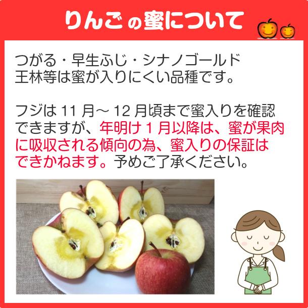 家庭用 りんご サンふじ 訳あり リンゴ 林檎 10kg 青森産 葉とらず 