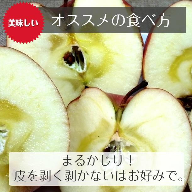 サンふじ りんご 訳あり リンゴ 林檎 5kg 青森産 葉とらず ふじ フジ 富士 冨士｜apple-srkm｜02