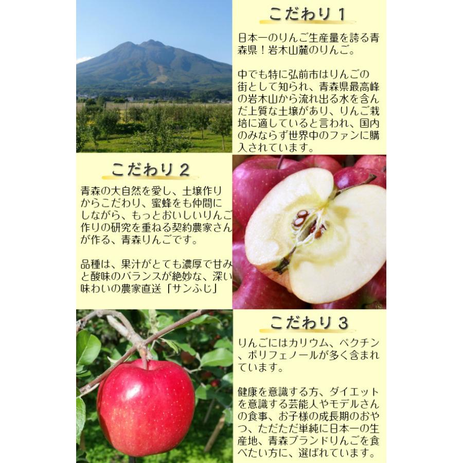 サンふじ りんご 訳あり リンゴ 林檎 5kg 青森産 葉とらず ふじ フジ 富士 冨士｜apple-srkm｜04