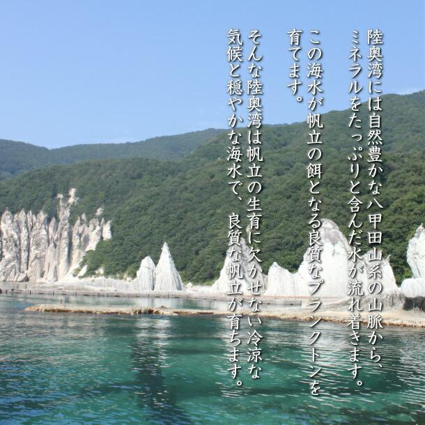 燻製 珍味 磯焼帆立貝ひも 55g× 2袋 青森県産 いそやきほたてがい イソヤキホタテガイ ボイルほたてかいひも 乾燥かいひも メール便 |  | 03