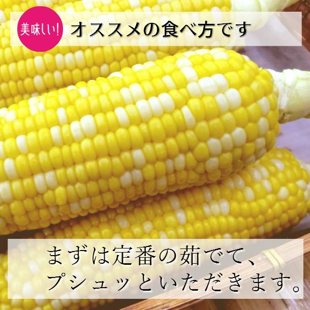 嶽きみ だけきみ 20本入 L-2Lサイズ 青森県産 とうもろこし ダケキミ