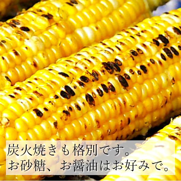 嶽きみ だけきみ 20本入 L-2Lサイズ 青森県産 とうもろこし