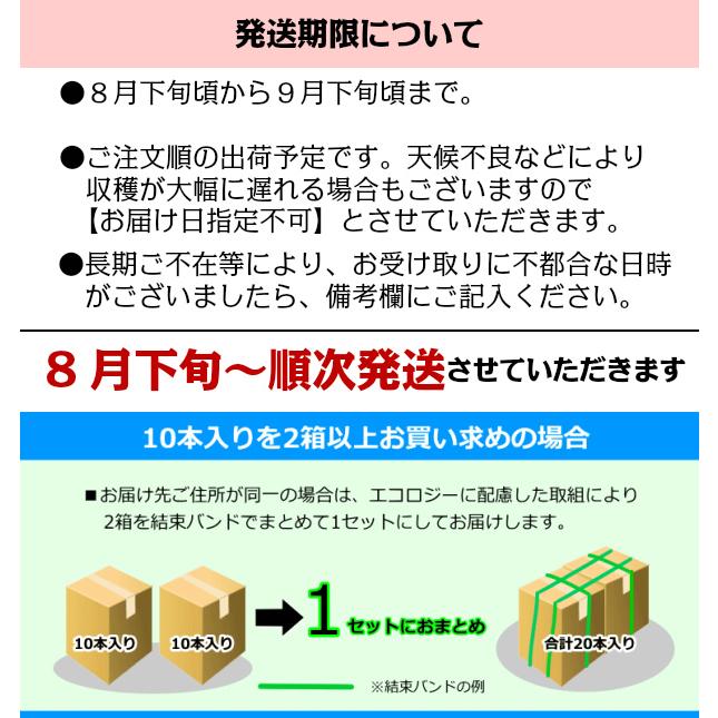 嶽きみ だけきみ 20本入 L-2Lサイズ 青森県産 とうもろこし