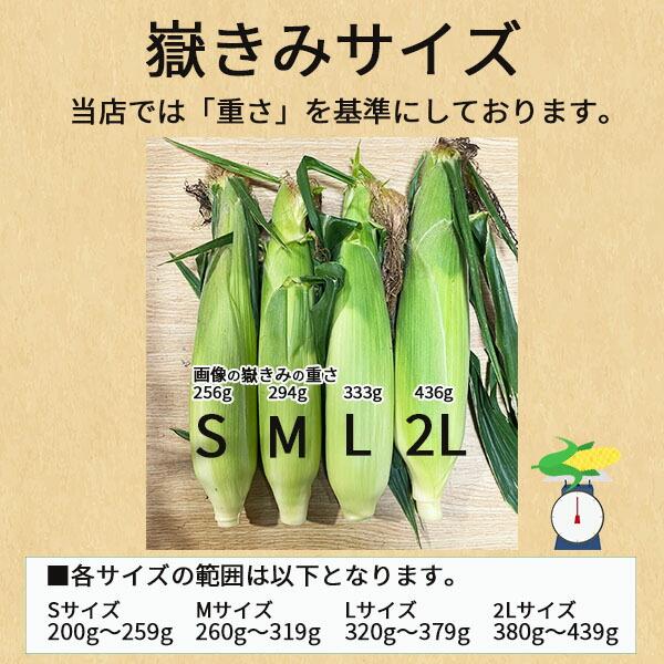 とうもろこし 訳あり 嶽きみ 先端カット S-2Lサイズ混合 10本