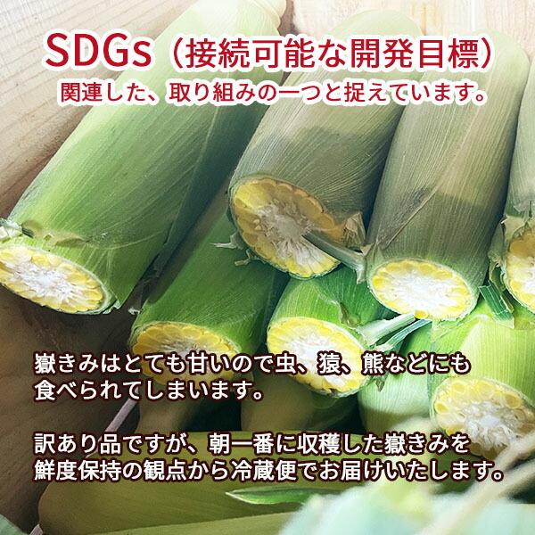 とうもろこし 訳あり 嶽きみ 先端カット S-2Lサイズ混合 10本