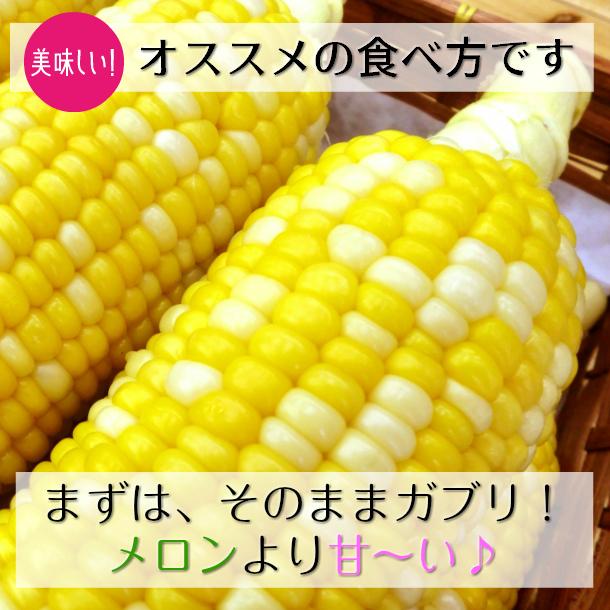 嶽きみ(真空パック) SSサイズ 10本 青森県産 だけきみ ダケキミ とうもろこし トウモロコシ もろこし きび 岩木屋|apple-srkm|02