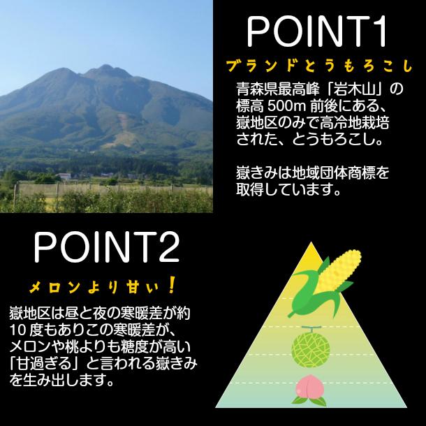 嶽きみ(真空パック) SSサイズ 10本 青森県産 だけきみ ダケキミ とうもろこし トウモロコシ もろこし きび 岩木屋|apple-srkm|05