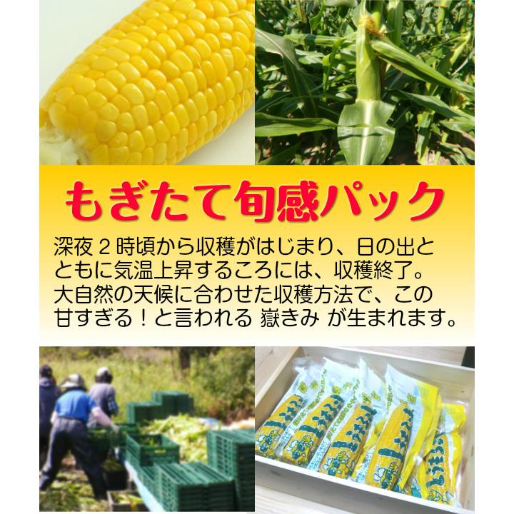 青森県産とうもろこし真空パック（獄きみ）30本入1箱 嶽きみ（真空パック） Lサイズ 30本 青森県産 だけきみ ダケキミ