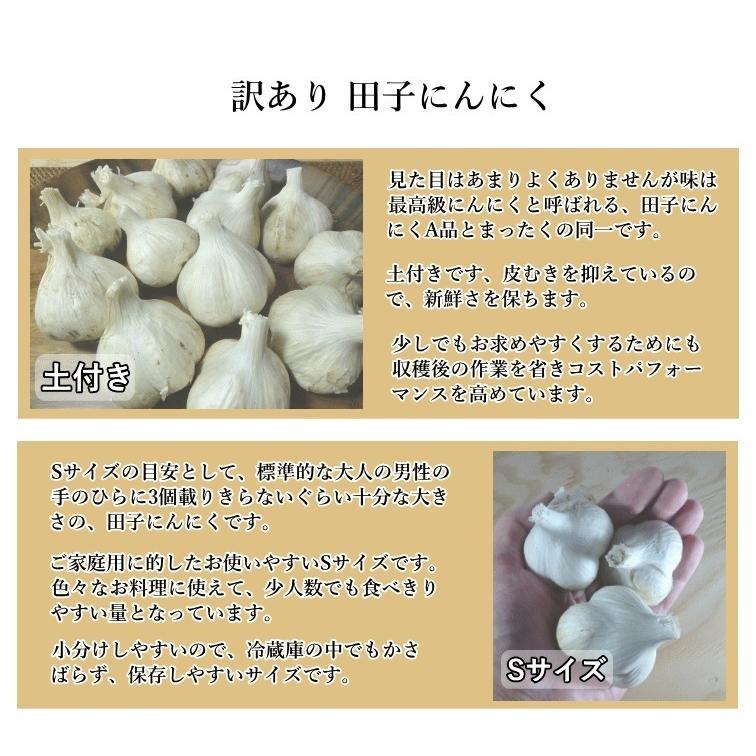 田子にんにく にんにく 青森県産 ニンニク 訳あり Sサイズ 3kg たっこ
