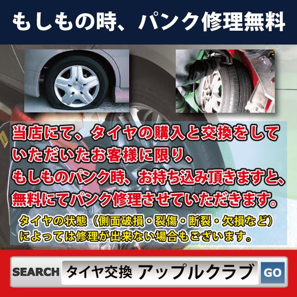 BRIDGESTONE ブリヂストン BLIZZAK DM-V3 245/50R20 102Q SUV/4WD車用 スタッドレスタイヤ ブリザック ＤＭＶ３ 新品・税込 来店交換送料無料｜appleclub｜09