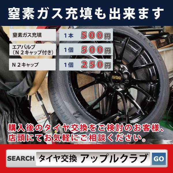 BRIDGESTONE ブリヂストン BLIZZAK DM-V3 265/50R19 110Q XL SUV/4WD車用 スタッドレスタイヤ ブリザック ＤＭＶ３ 新品・税込 来店交換送料無料｜appleclub｜06