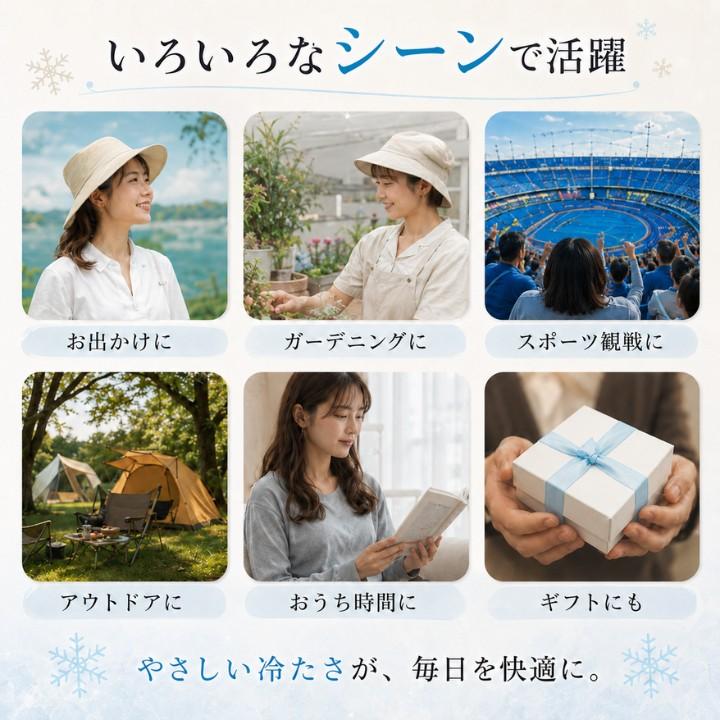 冷却グッズ アイスパック 帽子用 RL47070 ひんやり ヘッド用 保冷剤 約