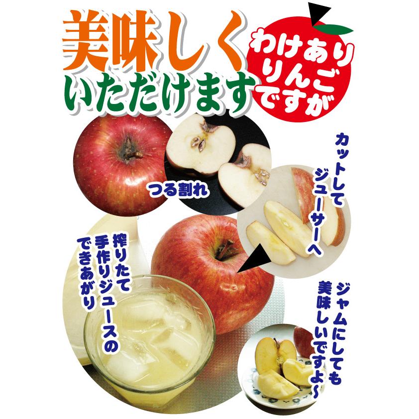 否バラ詰め A級品・ふじ・20kg（20キロ）用木箱サイズ ダンボール詰 否バラ詰め【B級品・ ふじ・20kg（20キロ）用 木箱 サイズ