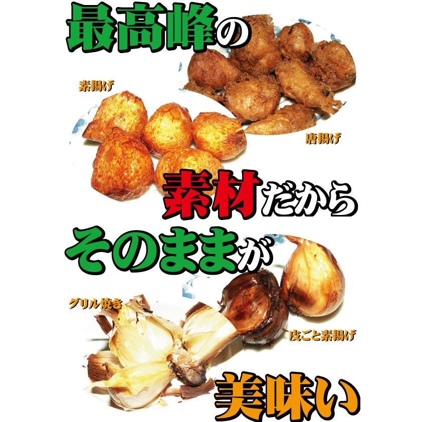 ホワイト六片種【青森県産 にんにく（ニンニク）バラ・不揃い 5kg（5