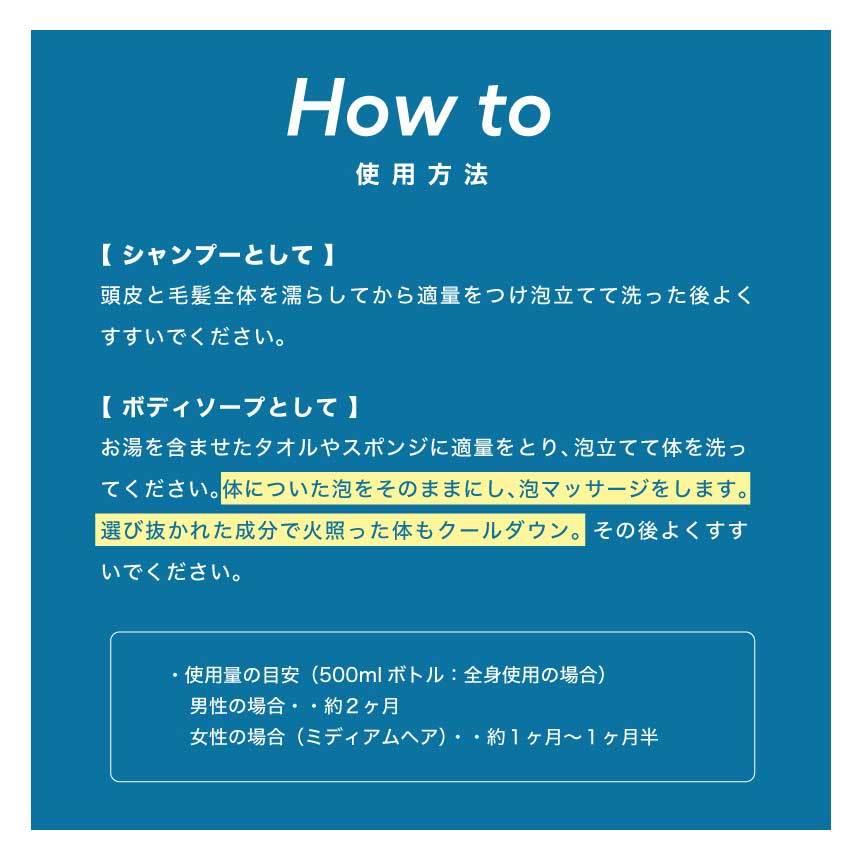 エーエス 全身用シャンプー アスリート専用 ヘア ボディシャンプー 500mlボトル A S Hair Body Shampoo For Athlete アスリートシャンプー A S A S アップルスポーツ 通販 Yahoo ショッピング