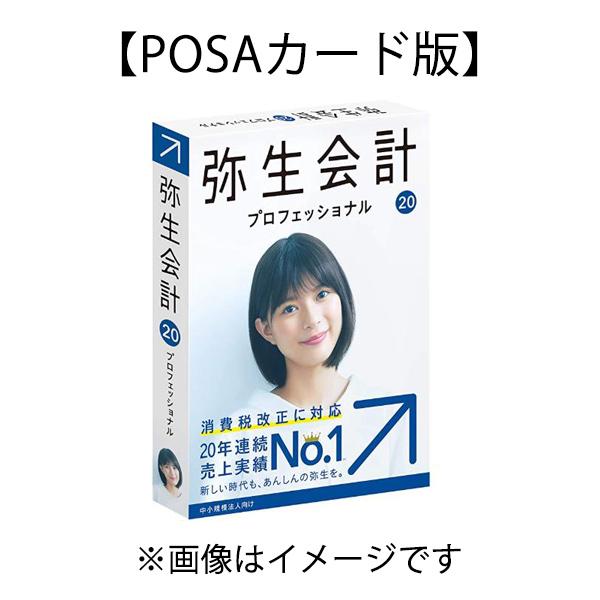 弥生会計 20 プロフェッショナル POSA対応B