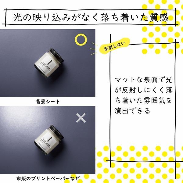 ELECOM エレコム DGA-BPA301 【キャンセル不可・北海道沖縄離島配送不可】 -お取り寄せ品- | ELECOM | 03