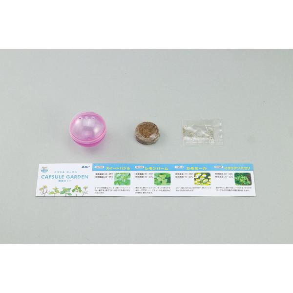 ARTEC アーテック カプセルガーデン カモミール 栽培 家庭菜園 栽培キット 102924 お取り寄せ | アーテック | 01