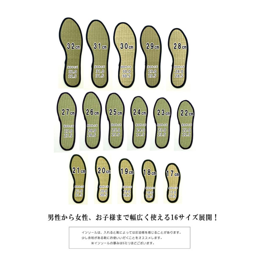 イケヒコ インソール ジュニア 消臭 抗菌 「い草インソール」 ネイビー 約18cm シンプル ネイビー 3658589  -お取り寄せ品- |  | 08