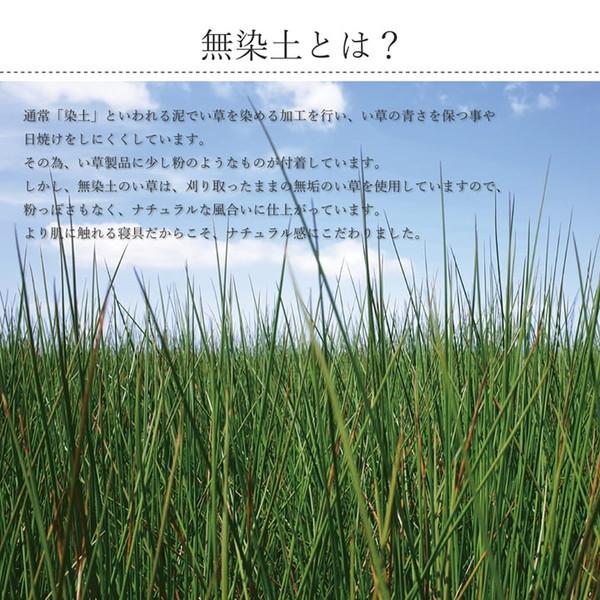 イケヒコ 国産 い草 敷きパッド さらさら 涼しい 消臭 四隅バンド付き ダブル 約140×200cm シンプル 7435349  -お取り寄せ品- | イケヒコ | 02
