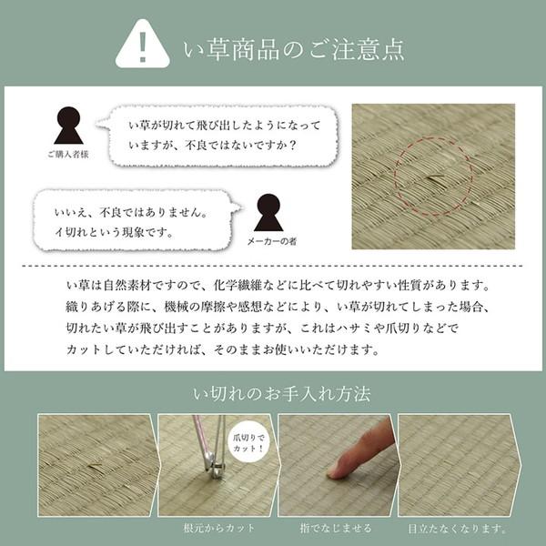 イケヒコ 国産 い草 敷きパッド さらさら 涼しい 消臭 四隅バンド付き ダブル 約140×200cm シンプル 7435349  -お取り寄せ品- | イケヒコ | 08